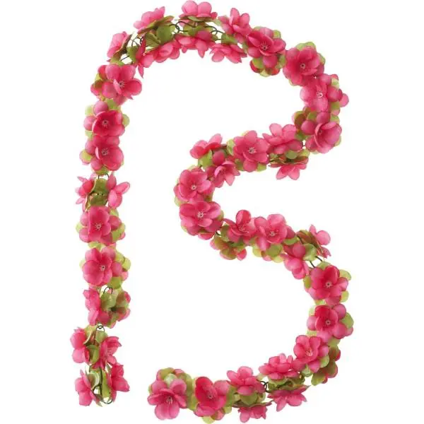 Tilaa Nyt Basil Kukkaköynnös Fuksia
