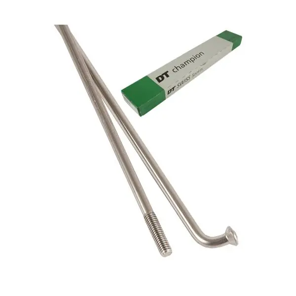 Aito DT Swiss Pinna Champion 13x256 Ilman Nippa Inox (100)