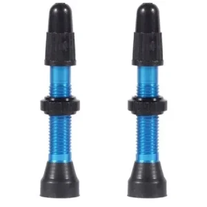 WTB Valve Blue Presta 2kpl Paras Hinta
